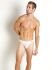 - "RED 2161 Brazilbrief - White" 