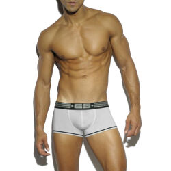 - "Metallic Boxer - Silver" 