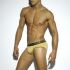- "Metallic Briefs - Gold" 