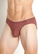 - "RED 2205 Sportbrief - Berry" (SALE!) 