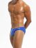 - "Classic Briefs - Blue" 