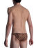 - "M2001 - Low Rise Briefs Ozelot" 