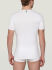  "Essential - T-shirt Crew Neck White" (. !) 