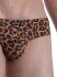 - "M2001 - Cheeky Briefs Ozelot" 