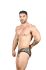 - "Massive Animal Attraction Brief" (SALE!) 