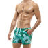 - "Recycled Camo Shorts - Camo Green" 