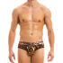 - "Animal Brief - Leopard" 