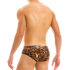 - "Animal Brief - Leopard" 