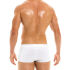 - "Golden Boxer - White" 