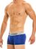 - "Festive Spring Boxer - Blue" 
