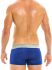 - "Festive Spring Boxer - Blue" 