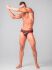 - "Youngero Generation Y - Men's Fetish Briefs Zipped Rear - Red" 