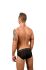 - "Sheer Leopard Briefs - Black" (SALE!) 