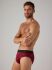 - "20366 - Briefs Pack 2" ( 2 .) 