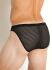 - "RED 2161 Brazilbrief - Black" 