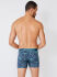 - "1711241 Boxer Trunk - Florida Keys" 