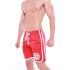   "Luminaire Basketball Shorts - Red" 