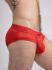 - "Mesh Briefs with Microfiber - Red" 