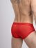 - "Mesh Briefs with Microfiber - Red" 