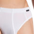 - "RED 1950 Sportbrief - White" 