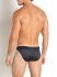 - "RED 2113 Brazilbrief - Black" 