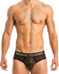 - "Festive Lux Briefs - Gold" 