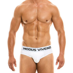 - "Classic Briefs - White" 
