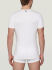  "Essential - T-shirt V-Neck White" ( 2 .) (. !) 