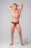 - /  "Youngero Generation Y - Men's Fetish Briefs Open Rear - Red" 