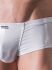 - "M462 - Hot Pants Silver" 