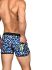 - "Midnight Animal Swim Shorts" (SALE!) 