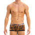- "Animal Boxer - Leopard" 