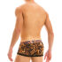 - "Animal Boxer - Leopard" 