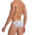 - "Desert Tanga - Grey" 