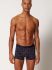 - "Cotton Multipack Trunks 2 Pack - Treedecoration Selection" ( 2 .) 