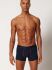 - "Cotton Multipack Trunks 2 Pack - Treedecoration Selection" ( 2 .) 