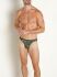 - "RED 2304 Brazilbrief - Leaves Green" (. !) 