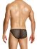 - "Mesh Through Low Cut Briefs - Black" 