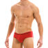 - "Seamless Classic Briefs - Red" 