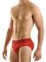 - "Eternal Briefs - Red" 
