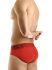- "Eternal Briefs - Red" 