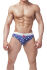 - "Diego Briefs" 
