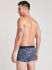 - "1823232 Short Trunk - Deep Sky" 