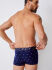 - "1921241 Trunk - Maritime Blue" 
