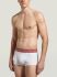 - "Fashion Tape - 2-Pack Men's Trunk White" ( 2 .) 