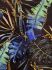 - "M800 - Tower String Jungle" 
