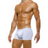 - "Organic - Boxer White" 