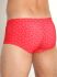 - "BLU 2251 Sunpants - Maze Orange" (. !) 