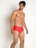 - "BLU 2251 Sunpants - Maze Orange" (. !) 