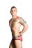 - "Lace Briefs - Red" (SALE!) 